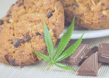 Top 5 Tastiest Cannabis Edibles That You Can Prepare at Home