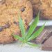 Top 5 Tastiest Cannabis Edibles That You Can Prepare at Home