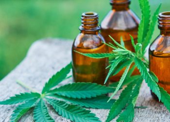 Psychotherapists Using Cannabis Components to Heal Sexually Assaulted Women Through Therapies