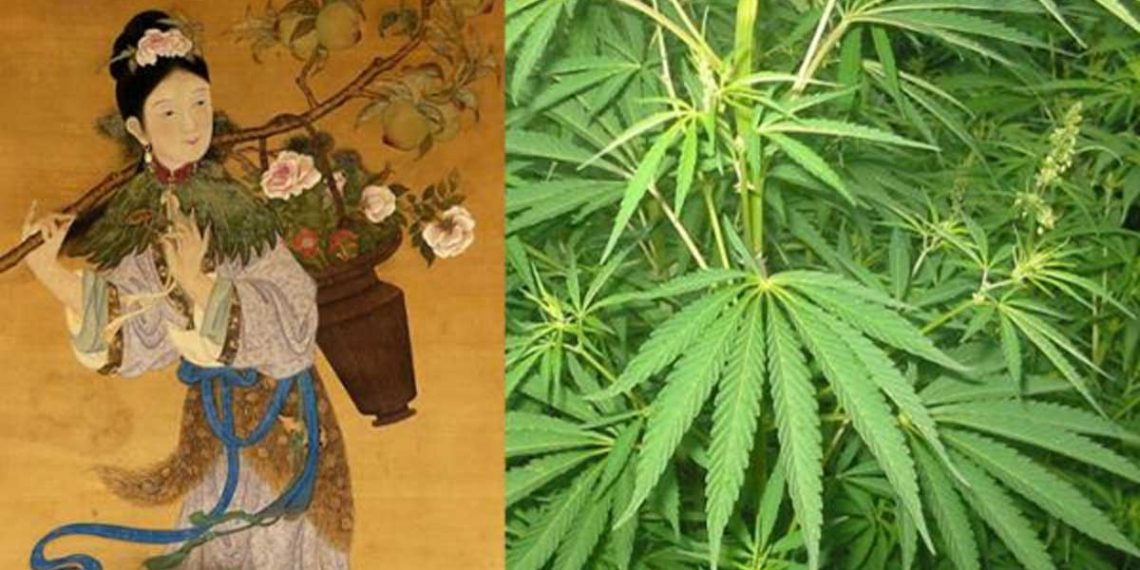 The Ancient History Of Marijuana