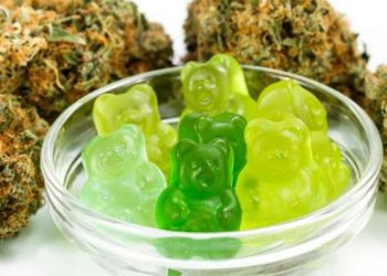 Gorilla Gummies – Your Everyday Wellness Pack
