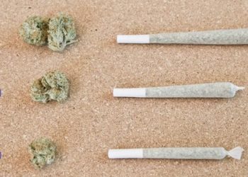 How To Roll a Joint: Like a PRO | Easy Way for Beginners