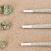 How To Roll a Joint: Like a PRO | Easy Way for Beginners