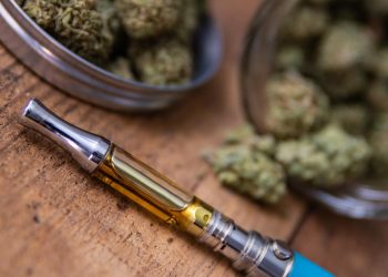 Legal and Personal Differences between THC and CBD