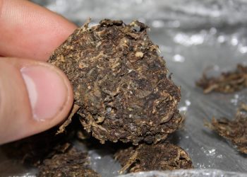 What is Schwag Weed? Everything You Need to Know