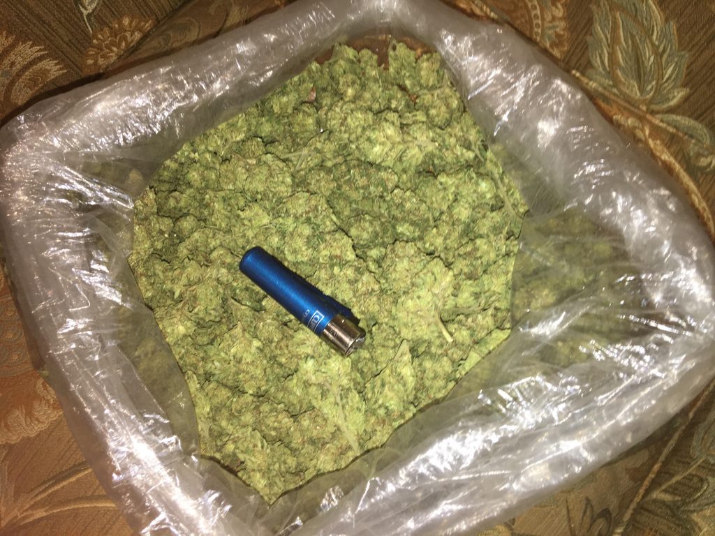 How Many Grams Are in a Pound of Weed? A Pound of Weed Cost?