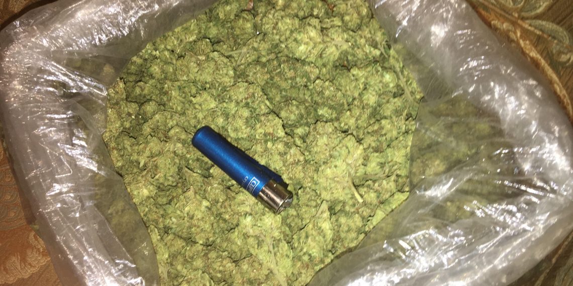 How Many Grams Are in a Pound of Weed? A Pound of Weed Cost?