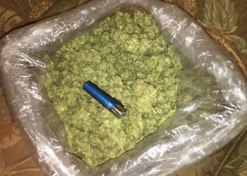 How Many Grams Are in a Pound of Weed? A Pound of Weed Cost?