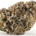 What is Reggie Weed and Does It Get You High? Know Everything!