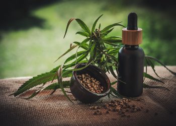 What Are the Best Ways to Consume Cbd in 2020?