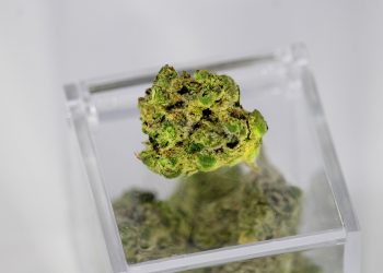 Conditions Medical Marijuana Can Help Manage