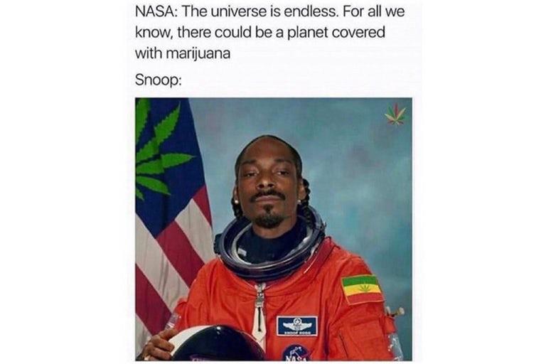 Snoop dog in astronaut suit