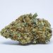 5 Best Exotic Weed Cannabis Strains of 2021
