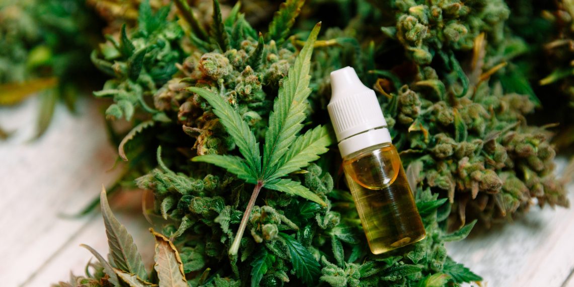 Weed Wagers: 5 Sativa Strains to Shortlist for a Birthday Party