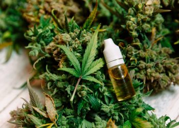 Weed Wagers: 5 Sativa Strains to Shortlist for a Birthday Party