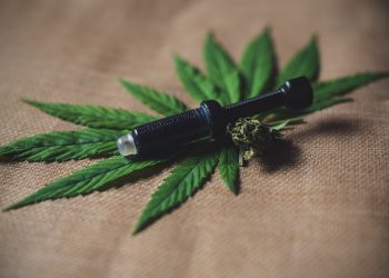 What Every Cannabis User Should Know About CBD