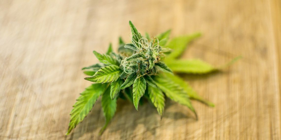 A Short Guide to Marijuana Edibles