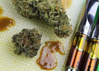 How to Buy the Right CBD Cartridges?