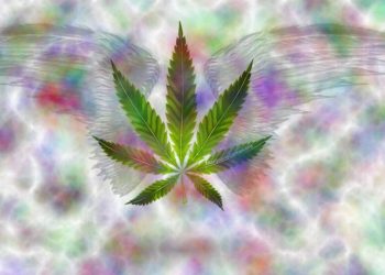 The Best Weed Jokes Of All Time To Make Fun