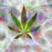 The Best Weed Jokes Of All Time To Make Fun
