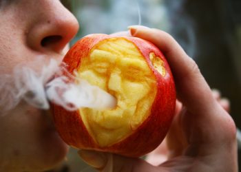 How To Make Homemade Bongs and Pipes? Stoners Guide