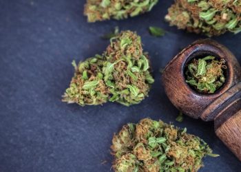 How to Pack a Perfect Bowl? | Detailed Guide