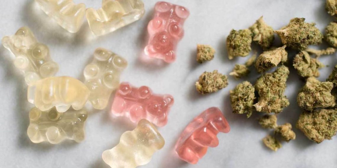 What You Can Expect  from Edibles | Beginners Guide