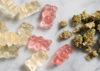 What You Can Expect  from Edibles | Beginners Guide