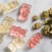 What You Can Expect  from Edibles | Beginners Guide