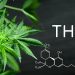 What Happens When You Eat 1000Mg of THC?