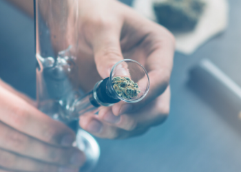 Types of the Water Pipes – Bongs : Ultimate Buying Guide