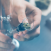 Types of the Water Pipes – Bongs : Ultimate Buying Guide