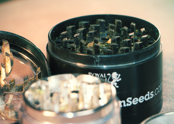 How To: Clean Your Grinder? Easy & Effective Process