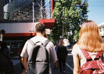 Surefire Ways To Make CBD Work For You