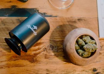 How to Get Rid of Weed Smell Out of House? : Proven Stoner Tricks