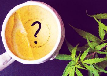 How to Make Weed Tea From Your Leftover Stems