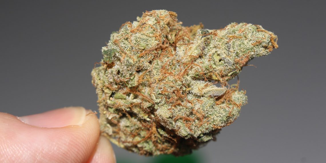 Why These 10 Strains Are Trending In 2021