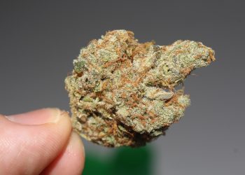 Why These 10 Strains Are Trending In 2021