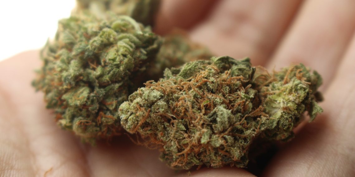 Avoid These Cannabis Storage Mistakes To Enjoy Fresh Buds