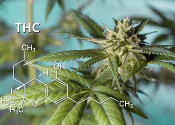 The Best Advice You Could Ever Get About Delta-8