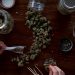 What are The Amazing Perks of Buying Weed Online?