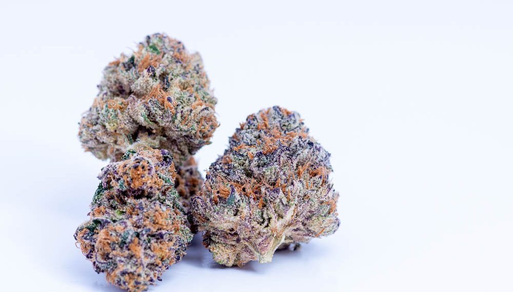 How Good is Slurricane Strain?