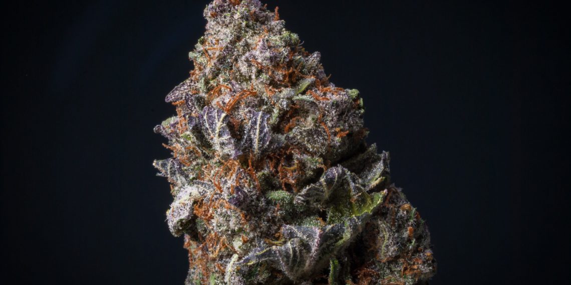 Zookies Strain | Stoner’s Honest Review