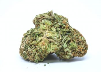 Orange Kush Strain Is Really Good or Not ? | Know Everything