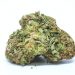 Orange Kush Strain Is Really Good or Not ? | Know Everything