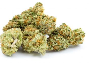 Lava Cake Strain | Everything You Should Know