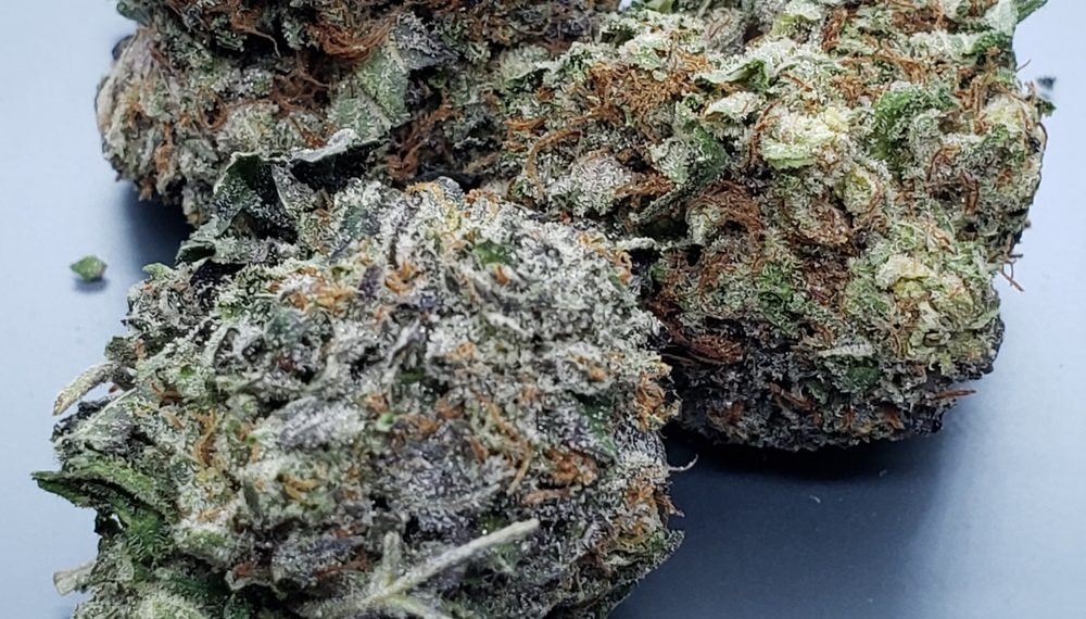 Review of Brownie Scout Strain