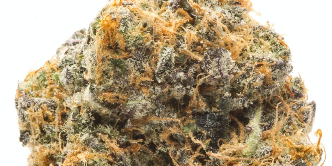 Blueberry Headband Strain | Everything You Should Know