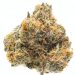 Blueberry Headband Strain | Everything You Should Know