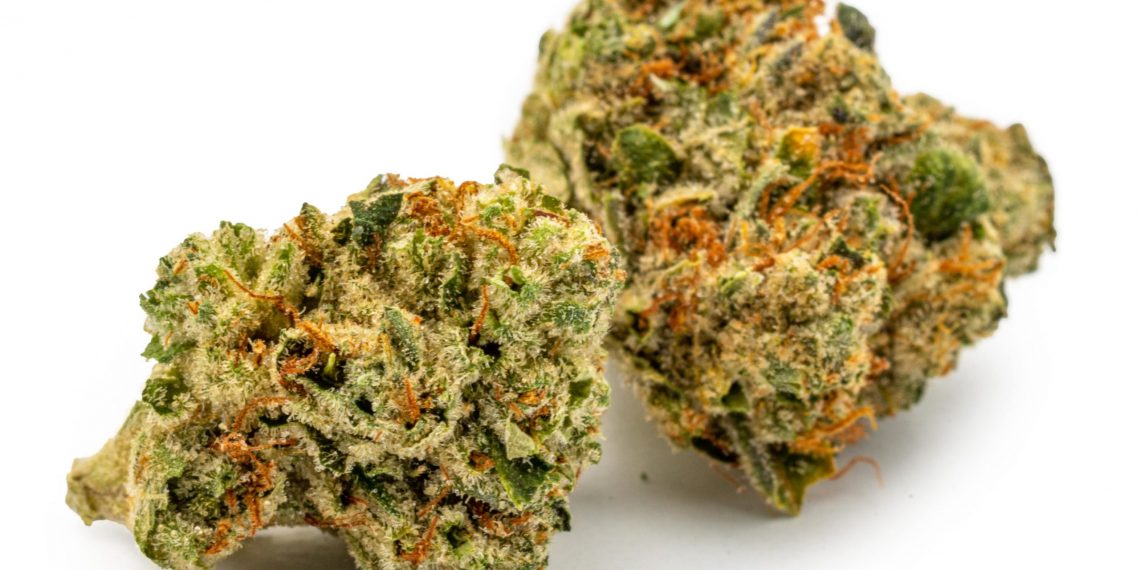 Motorbreath Strain: Stoner’s Honest Review